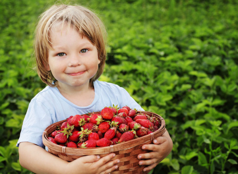 Why Get Your Kids To Eat Organic?